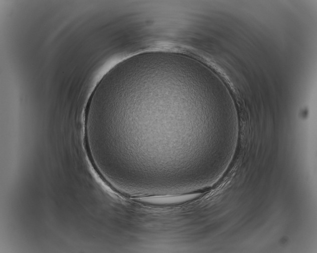 X0000095941479200801181350