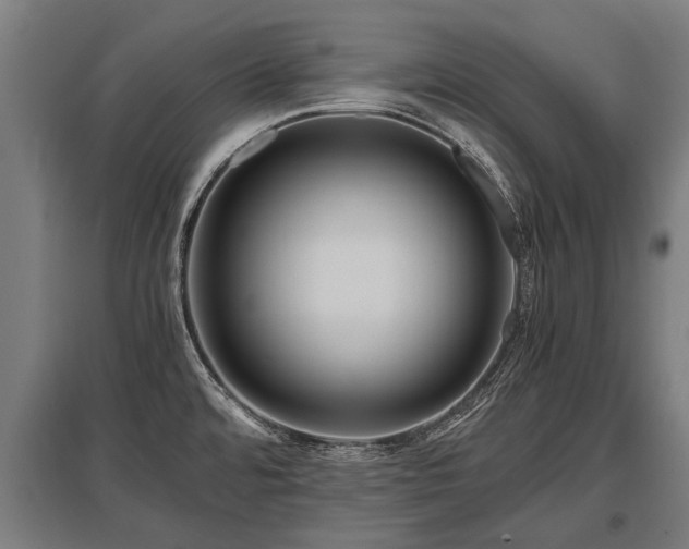 X0000095941480200801181350