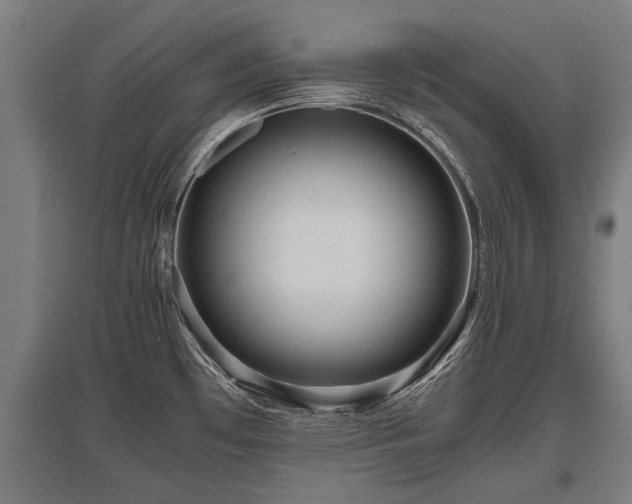 X0000095941481200801181350