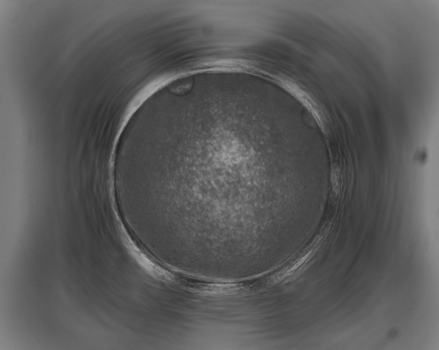 X0000095941482200801181350