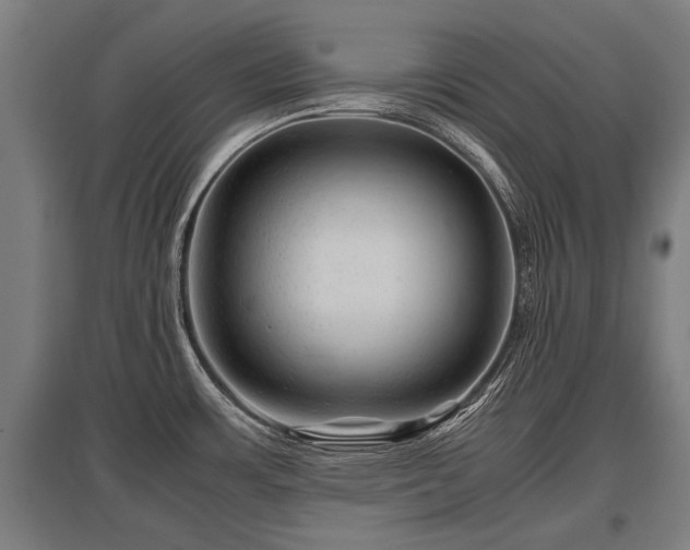 X0000095941483200801181350