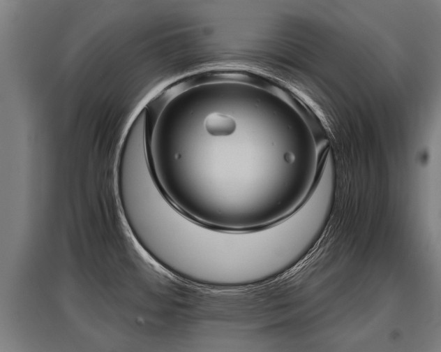 X0000095941484200801181350