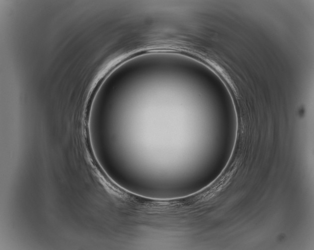 X0000095941485200801181350