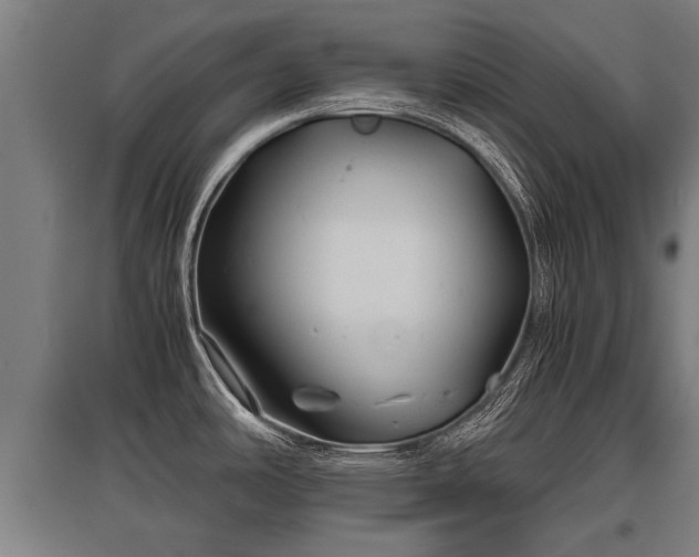 X0000095941486200801181350