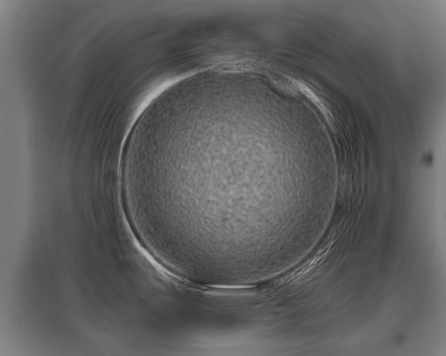 X0000095941487200801181350