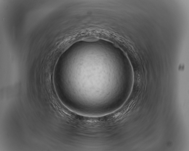 X0000095941489200801181349