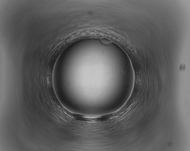 X0000095941490200801181349