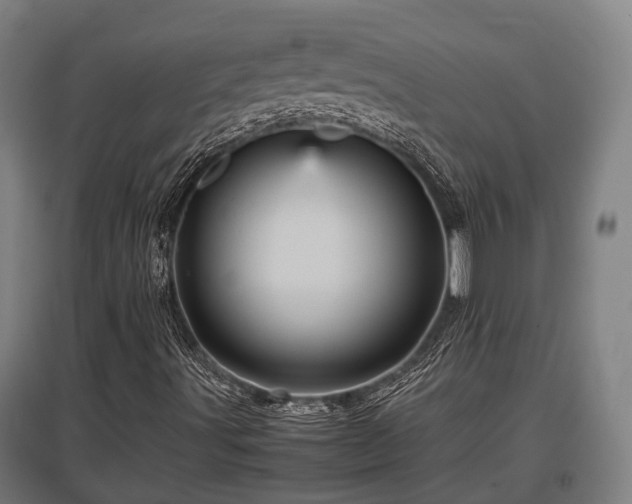 X0000095941491200801181349