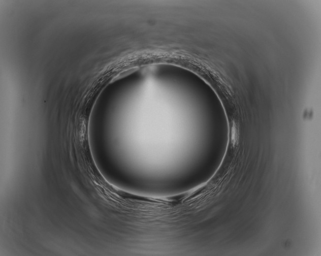 X0000095941492200801181349