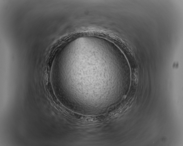 X0000095941493200801181349