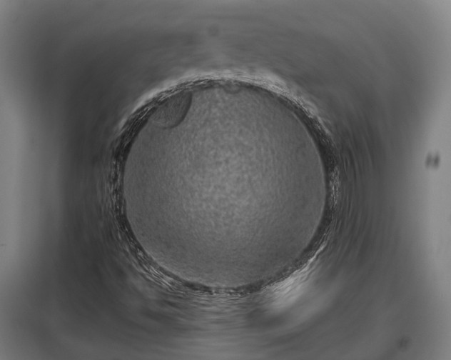 X0000095941494200801181349
