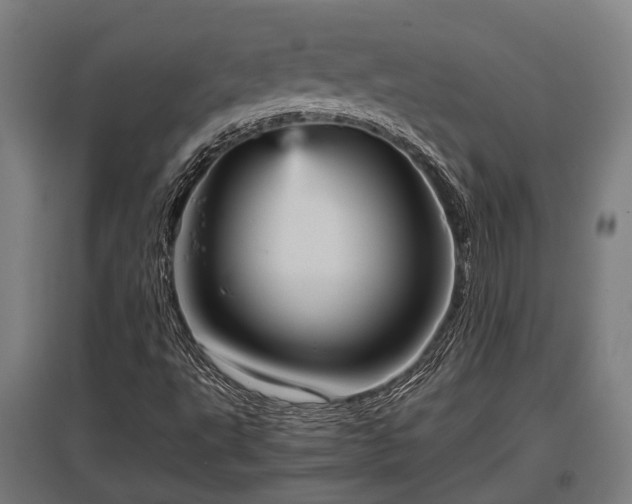 X0000095941495200801181349