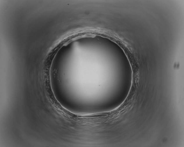 X0000095941496200801181349