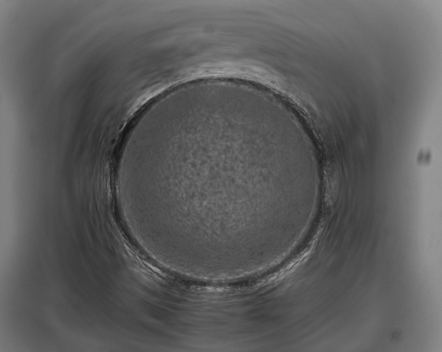 X0000095941497200801181349