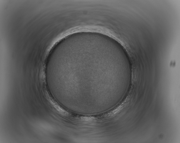 X0000095941498200801181349