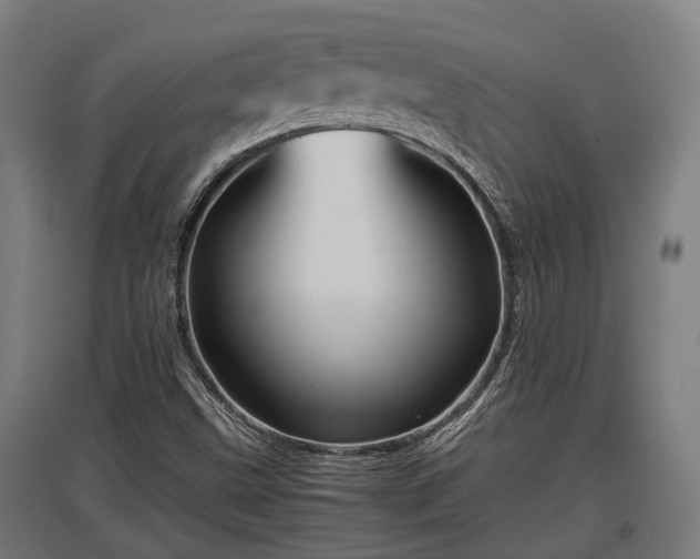 X0000095941499200801181349