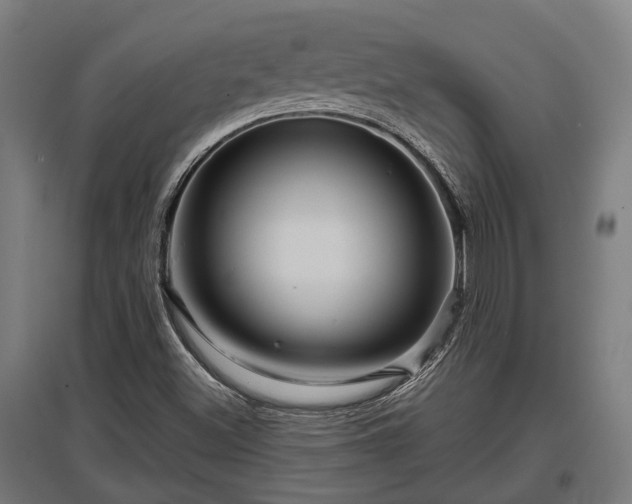 X0000095941500200801181349