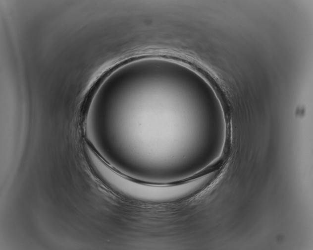 X0000095941501200801181349