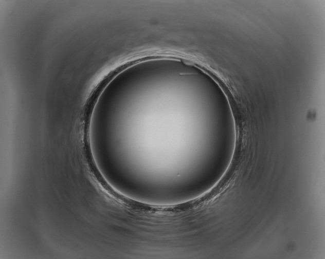 X0000095941503200801181349
