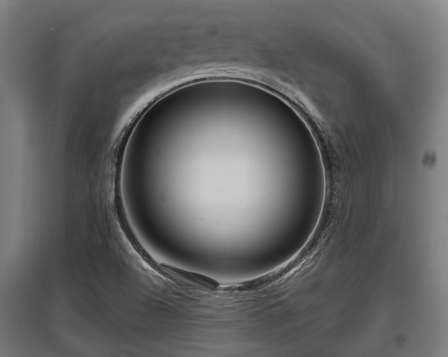 X0000095941504200801181349