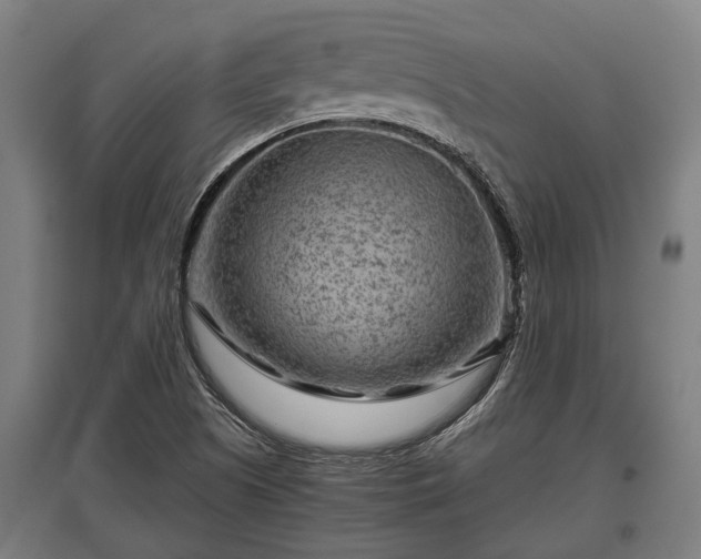 X0000095941505200801181349