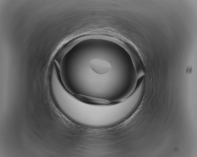 X0000095941506200801181349