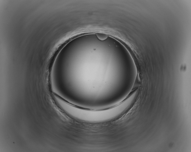 X0000095941507200801181349