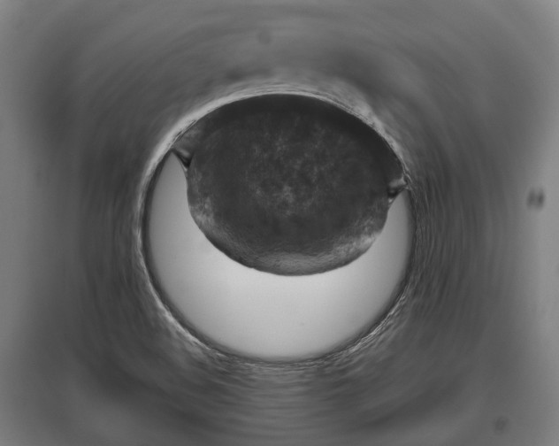 X0000095941508200801181349