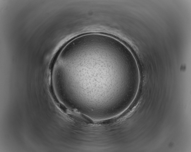 X0000095941509200801181349