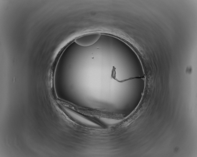 X0000095941510200801181349