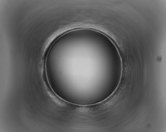 X0000095941511200801181349