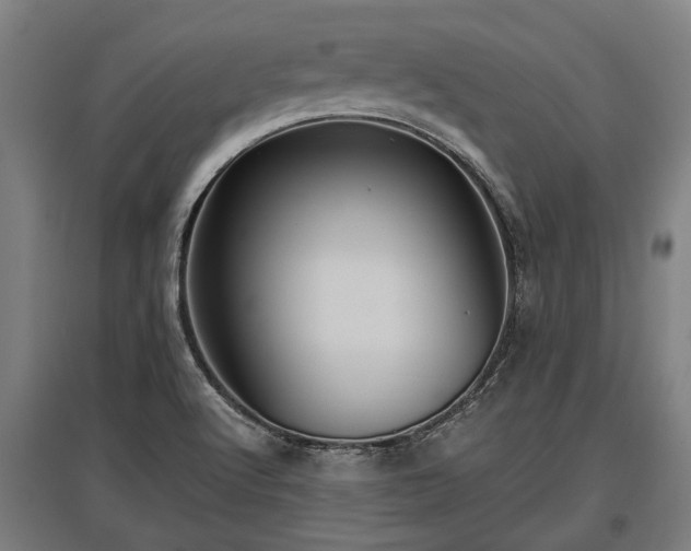 X0000095941512200801181349