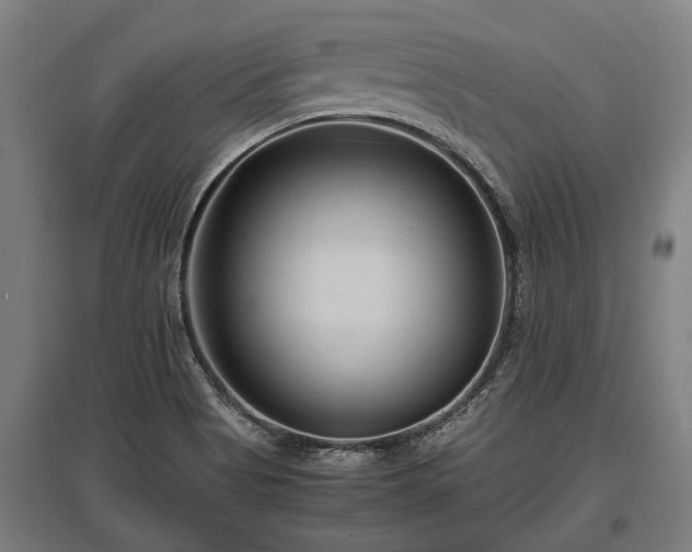 X0000095941513200801181349