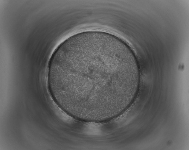 X0000095941514200801181349