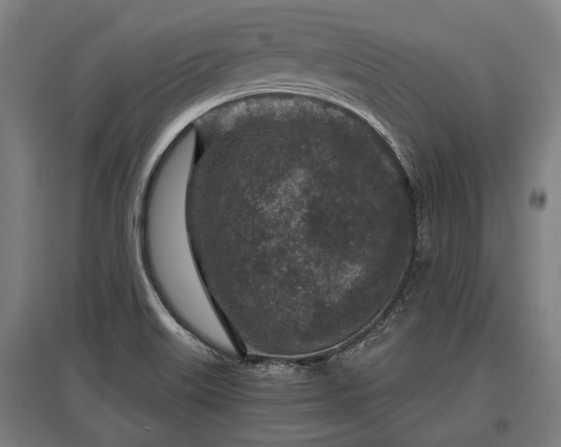 X0000095941515200801181349