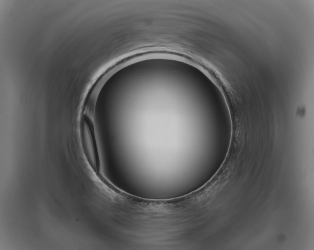 X0000095941516200801181349