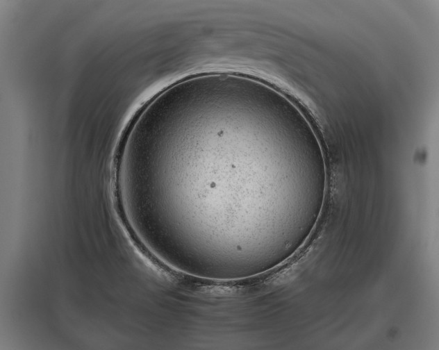 X0000095941517200801181349