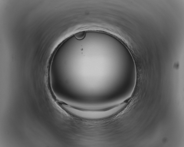 X0000095941518200801181349