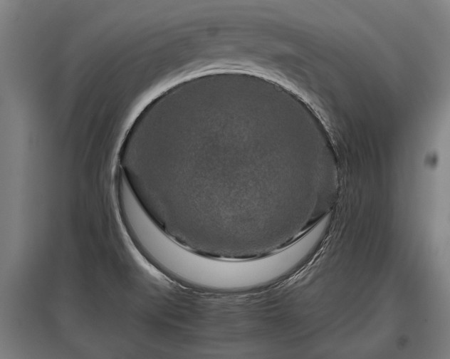 X0000095941519200801181349