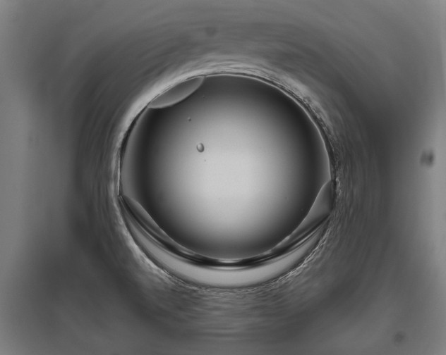X0000095941520200801181349