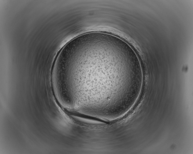 X0000095941521200801181349