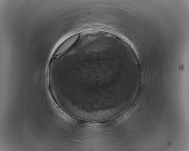 X0000095941522200801181349