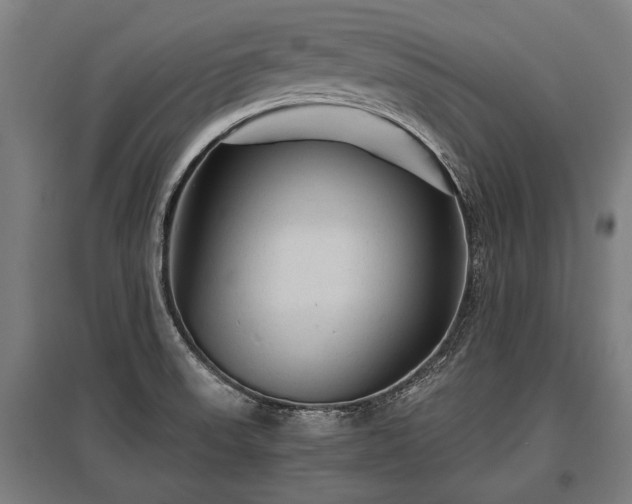X0000095941523200801181349