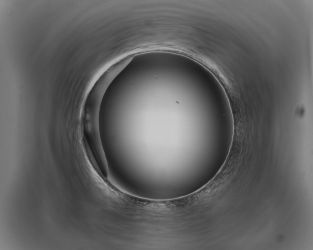 X0000095941524200801181349