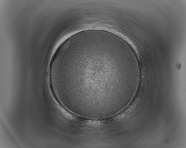 X0000095941525200801181349