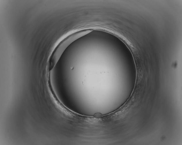 X0000095941526200801181349