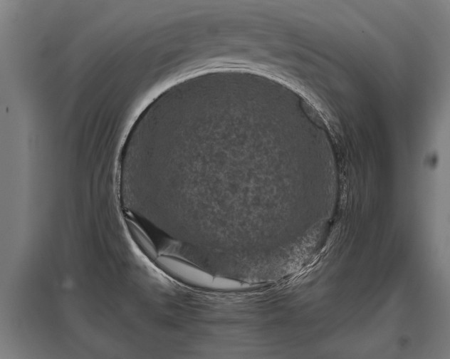 X0000095941527200801181349
