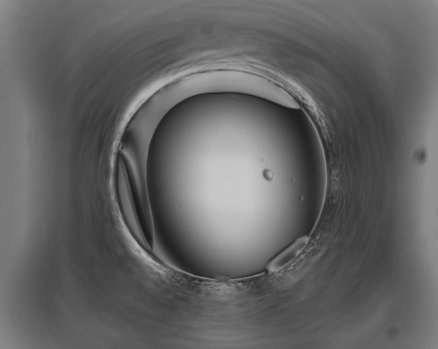 X0000095941528200801181349
