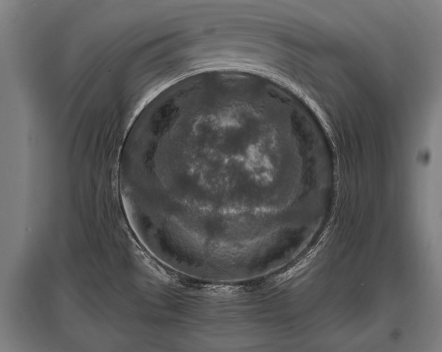 X0000095941529200801181349