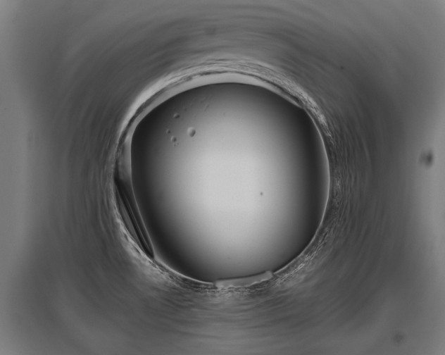 X0000095941530200801181349